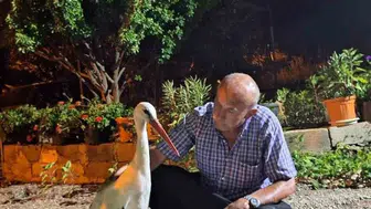 Yaralı leyleğe sahip çıkan vatandaş muhteşem bir dayanışma örneği sergiledi