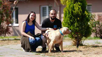 Bolu'da 8 ayda 621 sahipsiz hayvana yeni yuva