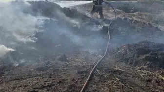 Bandırma'da otluk alanda meydana gelen yangın itfaiye ekipleri tarafından kontrol altına alındı