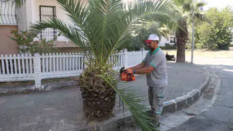 Nazilli'de sonbahar hazırlıkları için kapsamlı yeşil alan çalışmaları başlatıldı