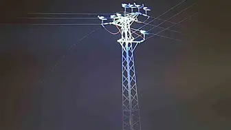Leyleklerin dönüş yolculuğu elektrik kesintisine neden oldu
