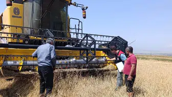 Kars'ta hububat hasadı denetimleri hızlanıyor