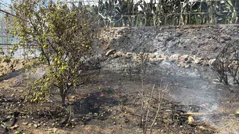 Gazipaşa'da helikopter pilotu yangını büyümeden söndürdü