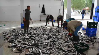 Muğla'nın Temmuz ayında ihracatı dikkat çekti: 142 milyon dolar aşıldı