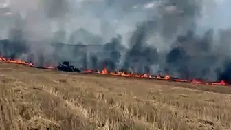 Şarkışla'da büyük yangın: 5 bin dönüm buğday tarlası zarar gördü