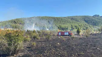 Bilecik'te tarla yangını hızla kontrol altına alındı