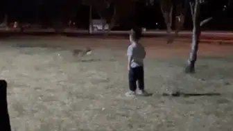 Çanakkale'de eğlenceli anlar: Minik çocuğun topunu tilki çaldı