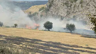 Tokat'ta otluk alandaki yangın, ekiplerin müdahalesiyle kontrol altına alındı