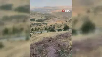 Ankara'daki ağaçlık alandaki yangın, 8 saatlik mücadele sonrası söndürüldü