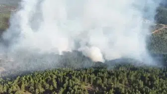 Kastamonu'da orman yangını başarıyla kontrol altına alındı