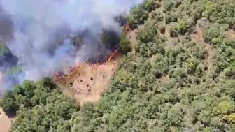 Bursa'da yeni bir orman yangını daha başladı