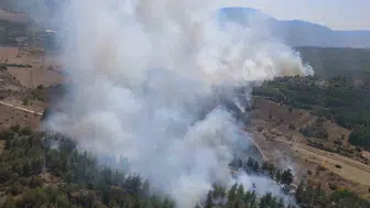 Bilecik'te orman yangınına havadan ve karadan müdahale sürüyor