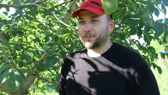 Samsun'da ceviz üretiminde Amerikan çeşitlerine yönelim artıyor