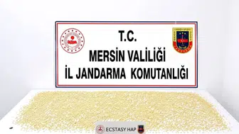 Mersin'de uyuşturucu operasyonu: 3 bin 760 ecstasy hap ele geçirildi