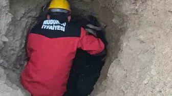 Mudurnu'da çukura düşen keçi itfaiye tarafından kurtarıldı