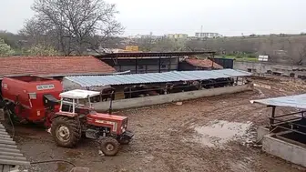 Kırşehirli besici kayıp hayvanlarını ararken komşusunun ihanetiyle yüzleşti