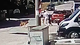 Köpeğini gezdiren genç, sokak köpeğinin saldırısına uğradı
