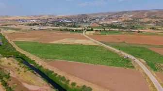 Kırıkkale'de kavun hasadı çiftçiyi sevindiriyor: Kalite ve rekolte yükseldi