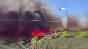 Salamina Adası'ndaki orman yangınında yaşlı çift hayatını kaybetti