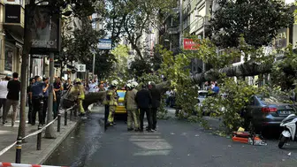 Şişli'de devrilen çınar ağacı yola müdahale ile kaldırıldı