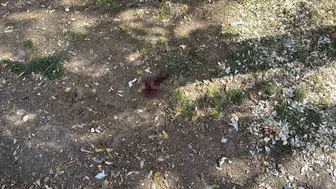 Eskişehir'de bıçaklı saldırgan parkta yakalandı