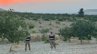 Birecik'te jandarmadan fıstık sezonu güvenliği: Üreticilerin emekleri korunuyor