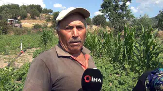 Çiftçiler doğrudan tüketiciye ulaşıyor: Mecitözlü üreticilerin doğal başarı hikayesi
