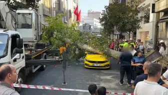Şişli’de meydana gelen çınar ağacı kazası birkaç araca zarar verdi