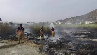 Samandağ'da bahçe yangını hızlı müdahale ile söndürüldü