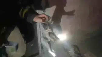 Şanlıurfa'da yangında mahsur kalan kedilere itfaiye kurtarışı