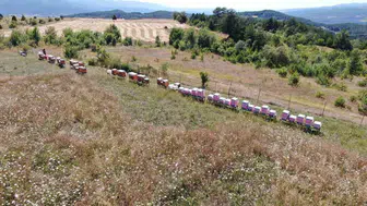 Emine Eymür, merakından kazanç sağlayan kadın girişimci: 900 kilometre yol kat ediyor
