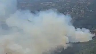 Sındırgı'da orman yangınına havadan ve karadan müdahale devam ediyor
