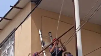 Adana'da tavan arasında sıkışan güvercin itfaiye ekipleri sayesinde kurtarıldı
