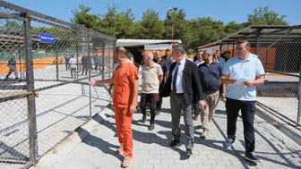 Dörtyol'da sokak hayvanları için sıcak bir yuva: Kuzuculu can dostlar bakımevi açıldı