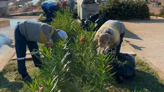 Didim Belediyesi'nden yeşil alanlara düzenleme ve bakım çalışmaları