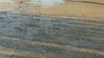 Iğdır'daki millet bahçesinin süs havuzunda kirlilik vatandaşı rahatsız ediyor