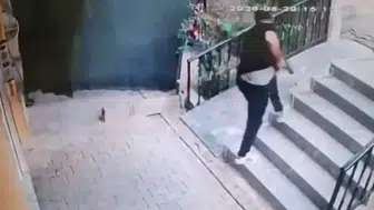 Şanlıurfa'da çocuk kavgalarına karışan silahlı şahıs tutuklandı