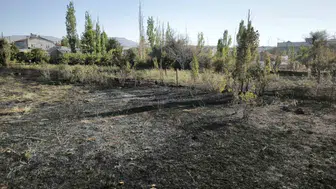 Altınyayla'da yangın korkusu: İtfaiye hızlı müdahale ile alevleri kontrol altına aldı