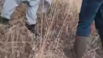 Sumağını korumak isteyen vatandaşın yaşadığı gergin anlar