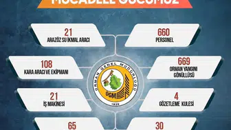 Sinop'ta orman yangınlarıyla mücadele için geniş kapsamlı seferberlik