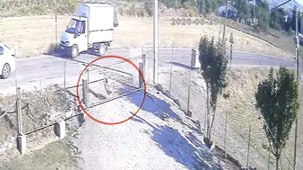 Samsun'da otomobil başıboş köpeğe çarptı, kaza anı güvenlik kamerasında