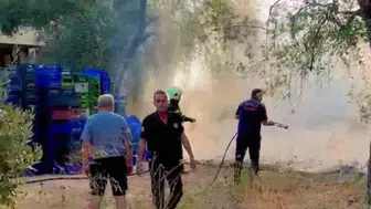 Milas'taki zeytinlik yangını hızlıca kontrol altına alındı