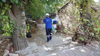 Antalya'da sinek ve haşereyle mücadele hız kesmeden sürmektedir