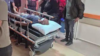 Sivas'ta ayının saldırdığı çobanın imdadına köpekleri yetişti