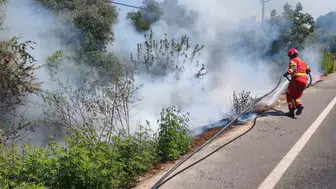 Ula’da yol kenarında çıkan yangın paniğe neden oldu