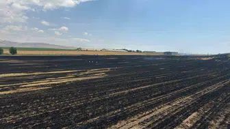 Ahlat'ta örtü yangını felaketi: 400 dönümlük tarım alanı yandı