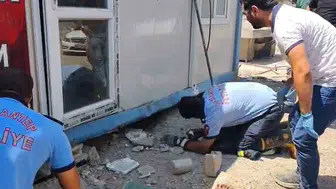 Gaziantep'te anne köpek ve yavruları konteynerin altından kurtarıldı