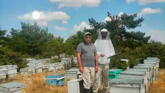 Afyonkarahisar'da arıcılıkla ilgili saha çalışmaları devam ediyor