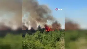 Lapseki'deki tarım arazisinde çıkan yangına anında müdahale edildi