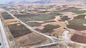 Sivas'ta ayçiçeği üretimi yüzde 109 arttı, çiftçiler alternatif bir kazanç kapısı buldu